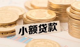 东莞28空放-东莞28个人短借-东莞28身份证小额贷款