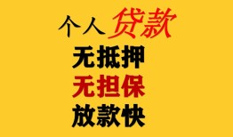 东莞28信用贷款办理-东莞28身份证贷款分期-东莞28小额私人借贷