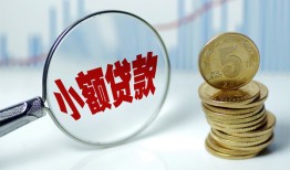 东莞28哪里可以小额贷款-东莞28哪里有民间借贷-东莞28民间短期私借借款